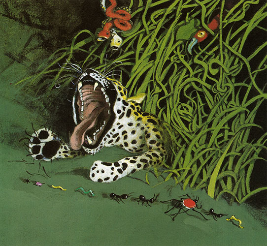 Die Entstehung der Gürteltiere - 3