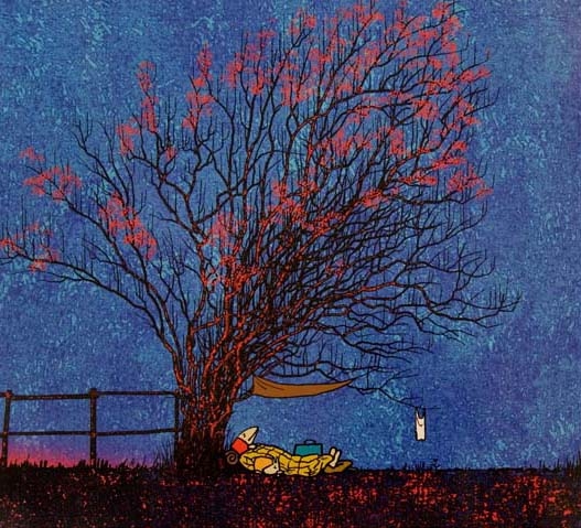 Keepvogel en kijkvogel in het spoor van Mondriaan - 5