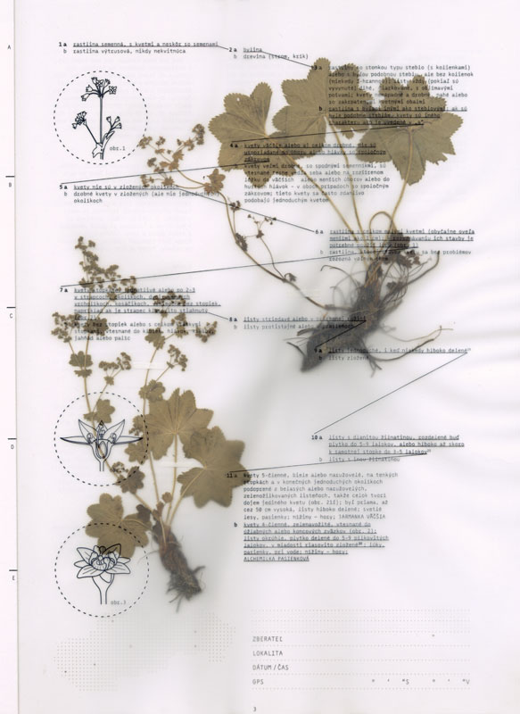 Herbarium - 3