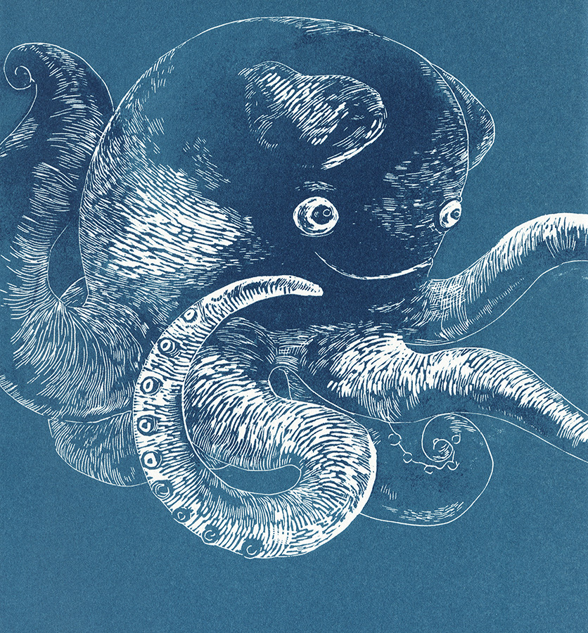 Hlbokomorské rozprávky - 2