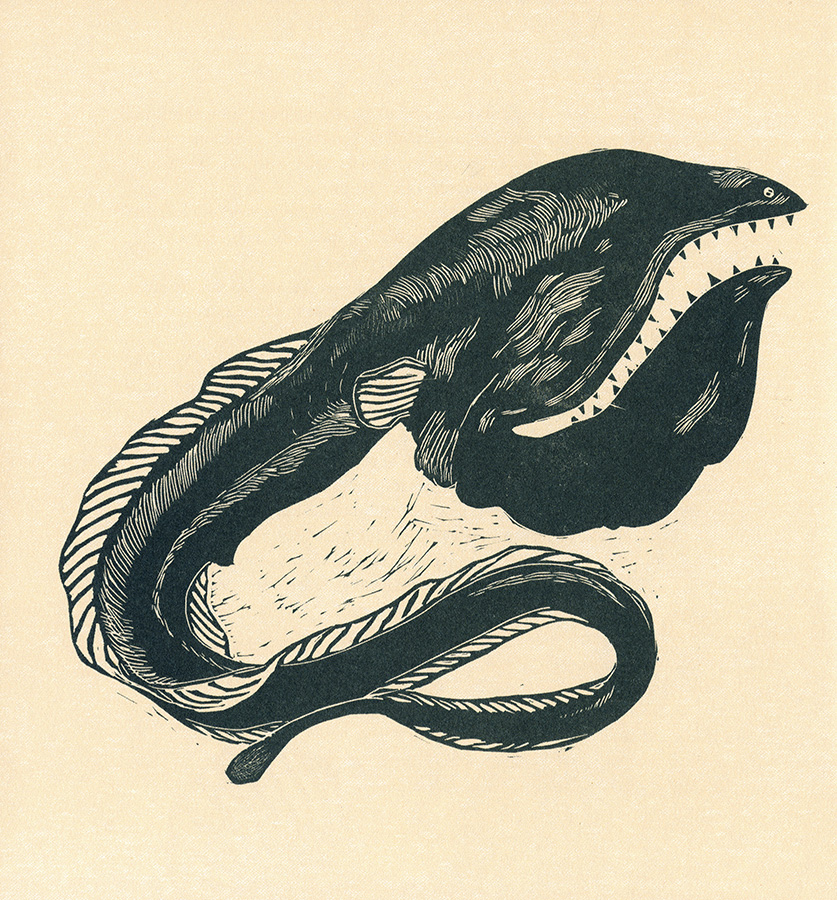 Hlbokomorské rozprávky - 5