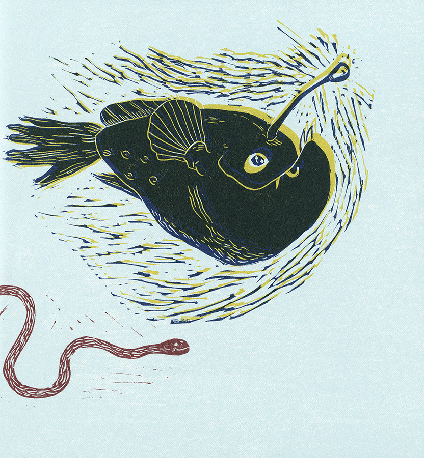 Hlbokomorské rozprávky - 6