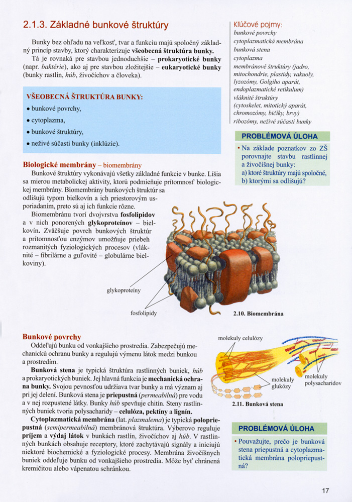 Biológia pre 2. ročník gymnázia a 6. ročník gymnázia s osemročným štúdiom - 2