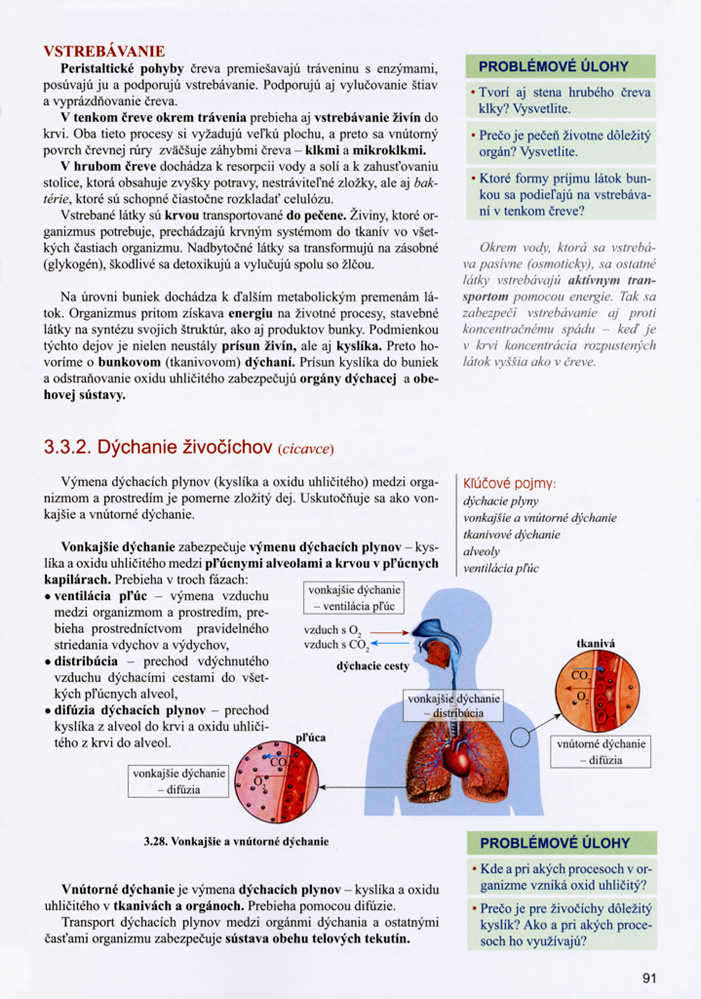 Biológia pre 2. ročník gymnázia a 6. ročník gymnázia s osemročným štúdiom - 3