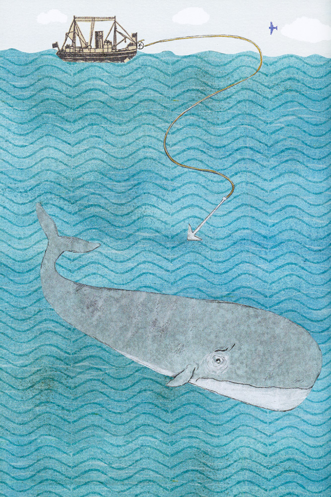 Ema a ružová veľryba - 5