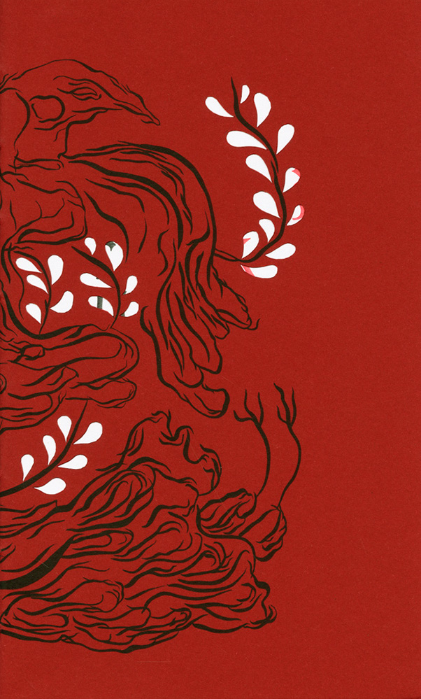 Rozprávky z ďalekého Japonska - 5