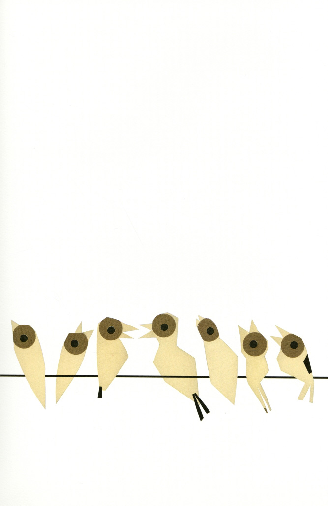 El pájaro enjaulado - 6