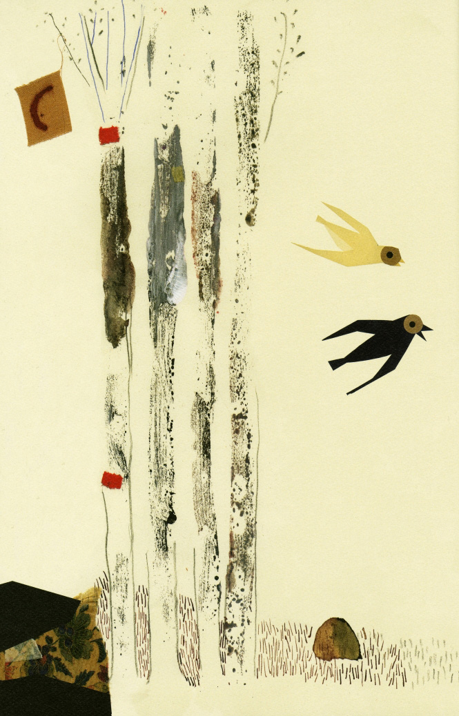 El pájaro enjaulado - 3