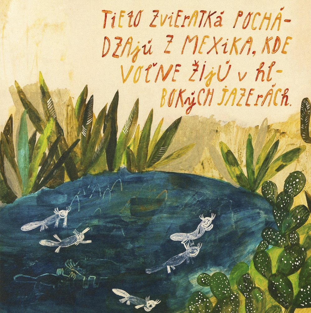 Moje vodné dráčiky - 4