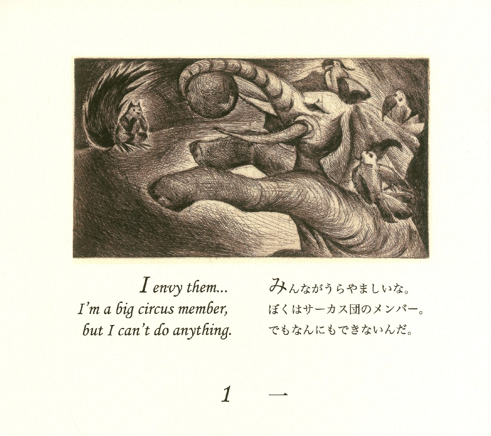 Little fat squirrel - 5