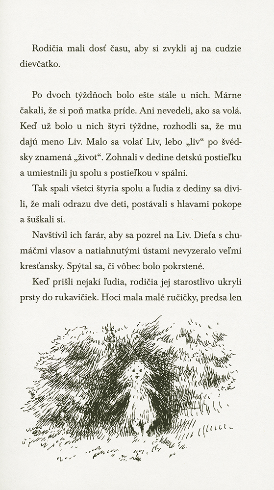 Chlapec a červený dom - 4