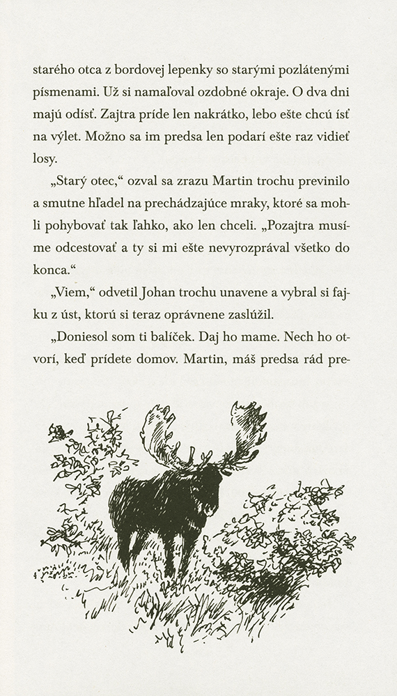 Chlapec a červený dom - 6