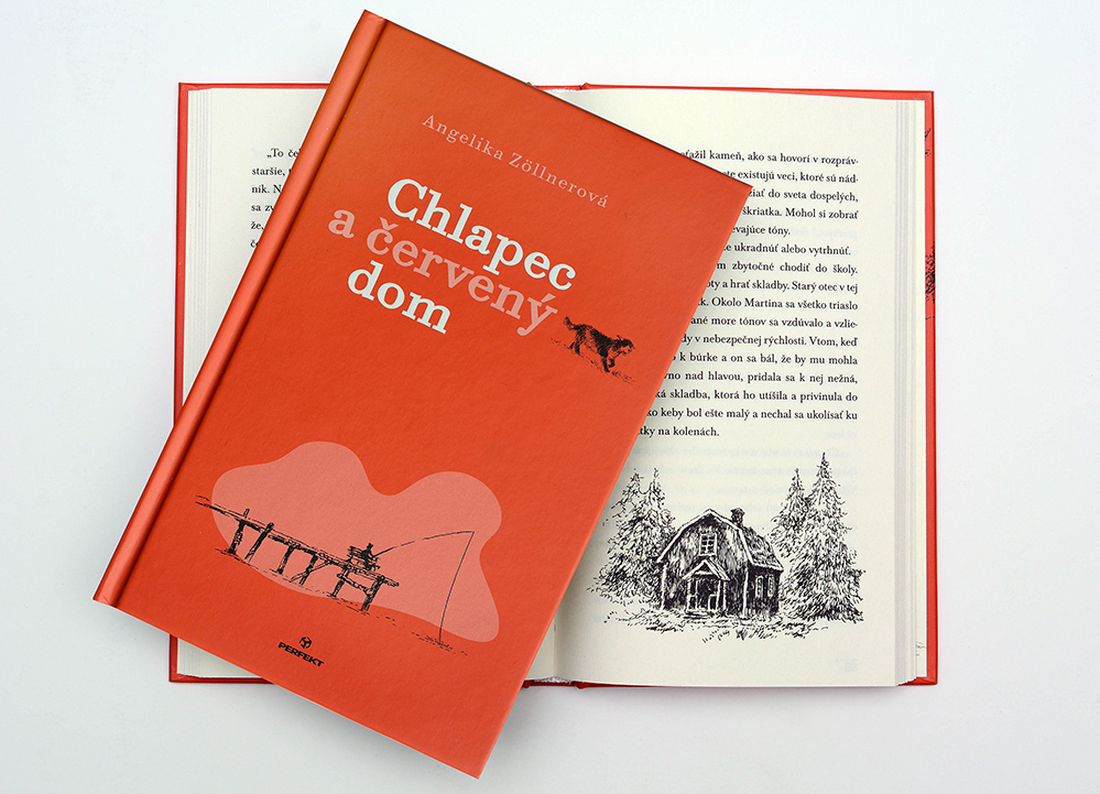 Chlapec a červený dom - 2