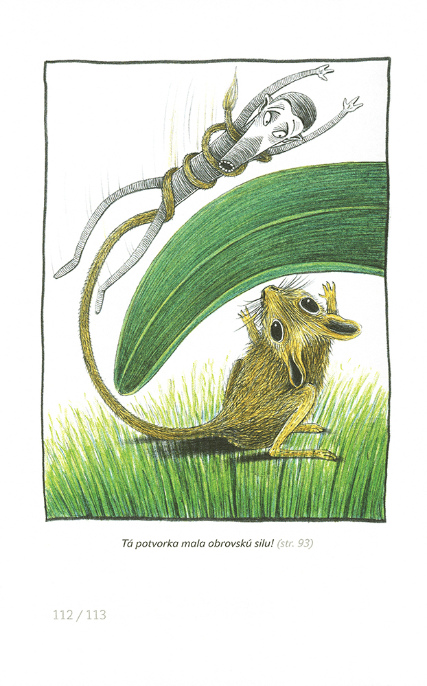 Párožrúti sa vracajú - 4