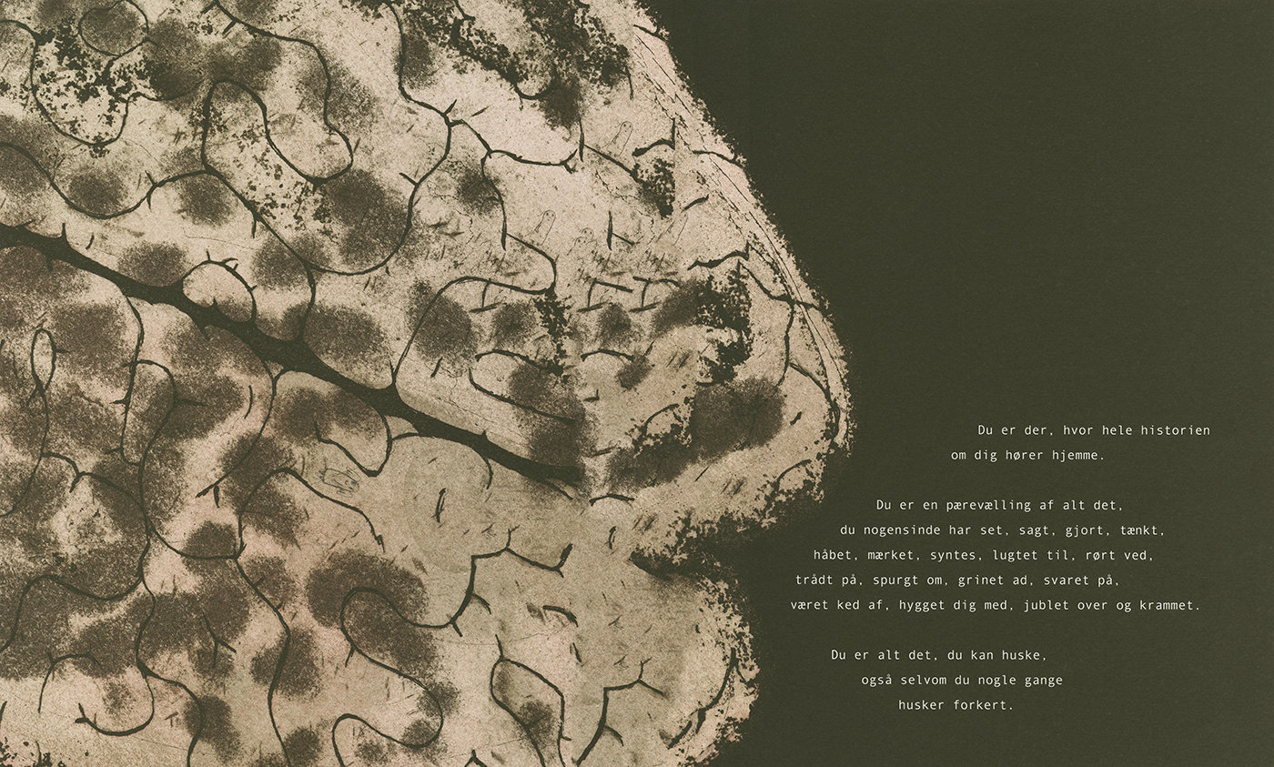 Historien om dig - 5