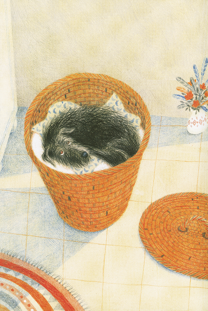 So-So, Go-Go and Sunny - 6