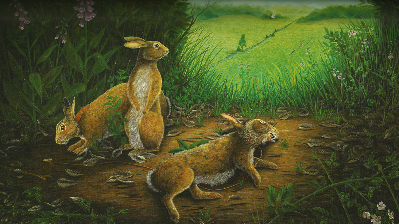 Ďaleká cesta za domovom - 5