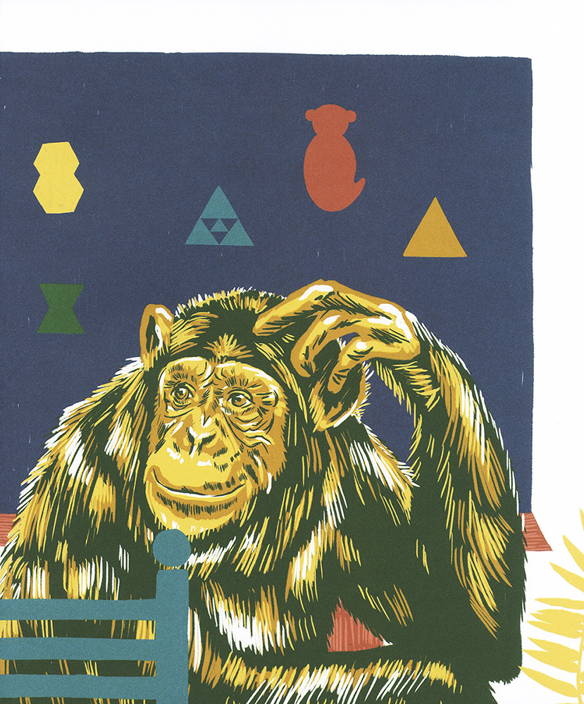 Nie je opica ako opica - 5