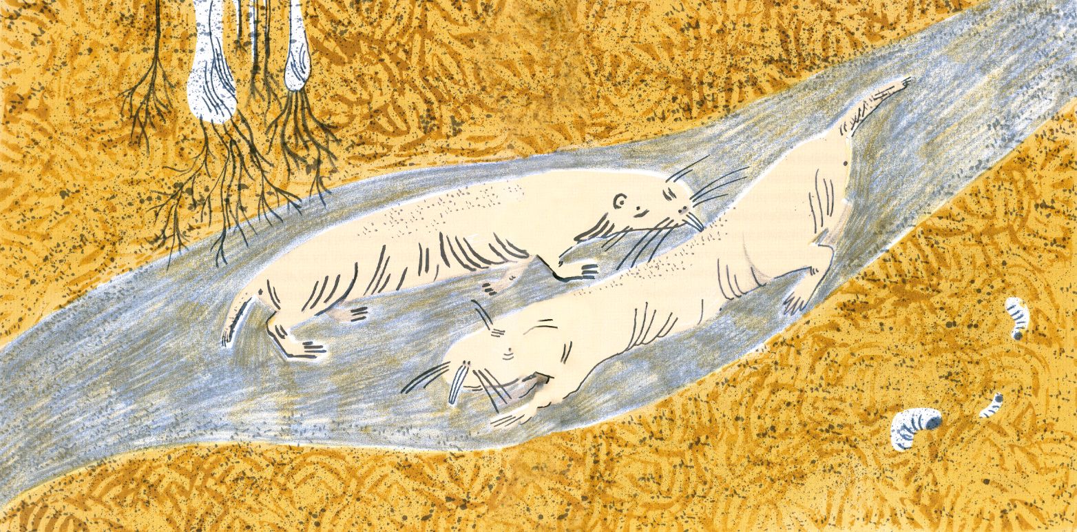 Koniec sveta a čo je za ním - 4