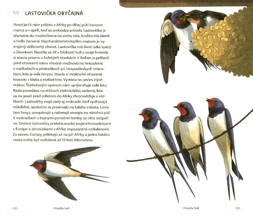 Vtáčí atlas - 4