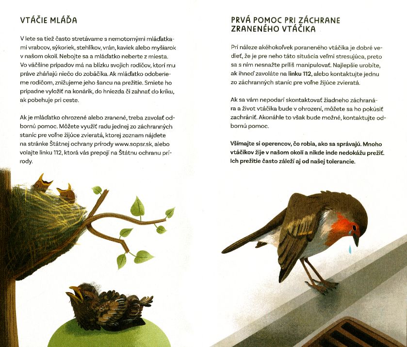 Vtáčí atlas - 6