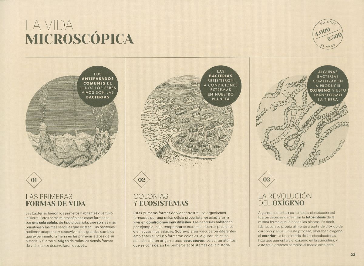 Paisajes perdidos de la Tierra - 4