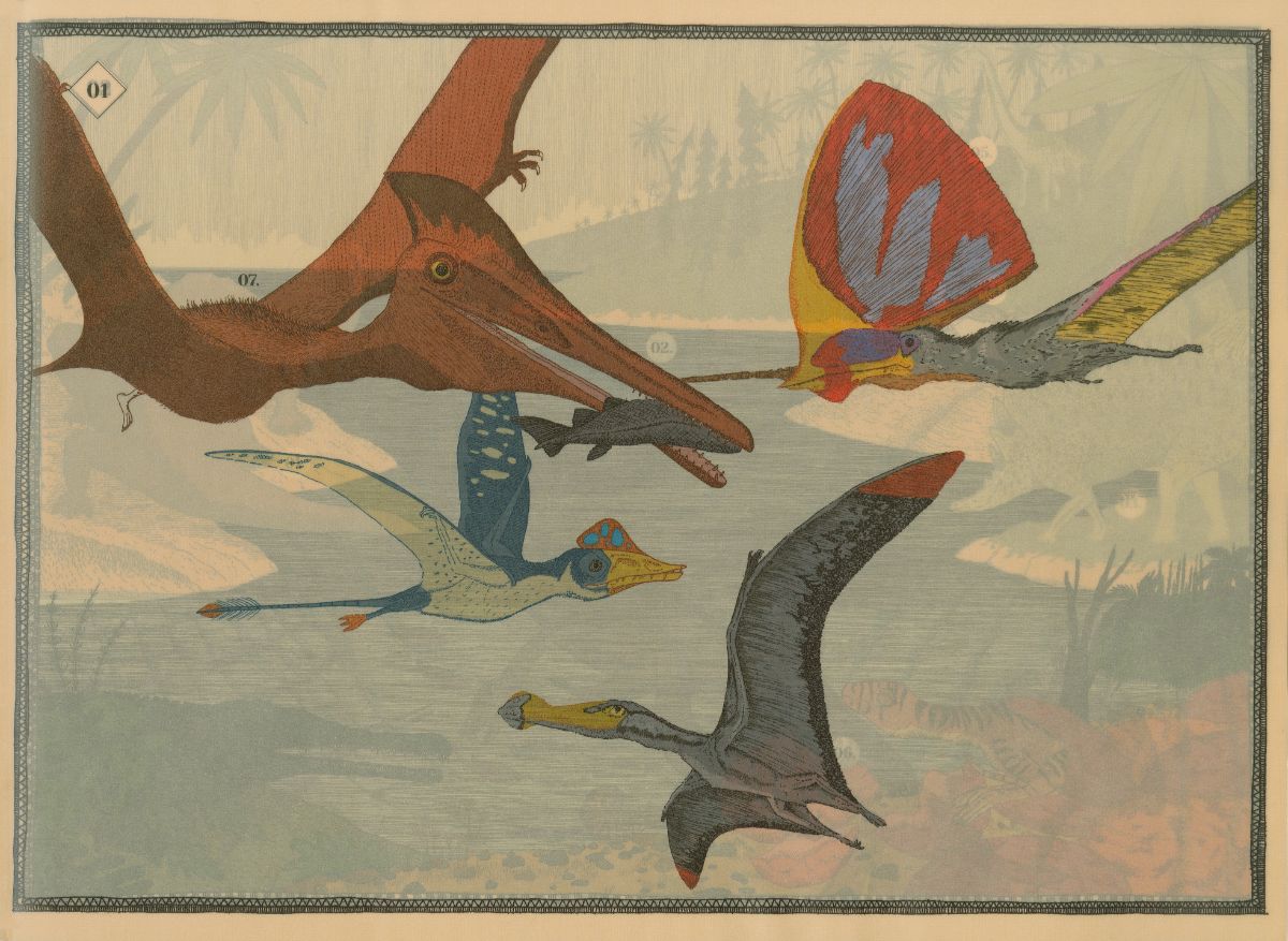 Paisajes perdidos de la Tierra - 6