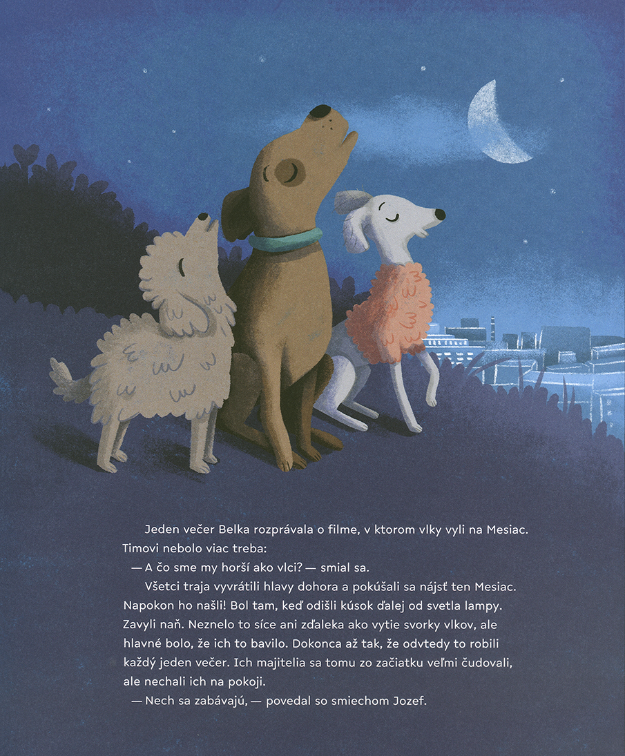 Timo a hviezdna obloha - 2