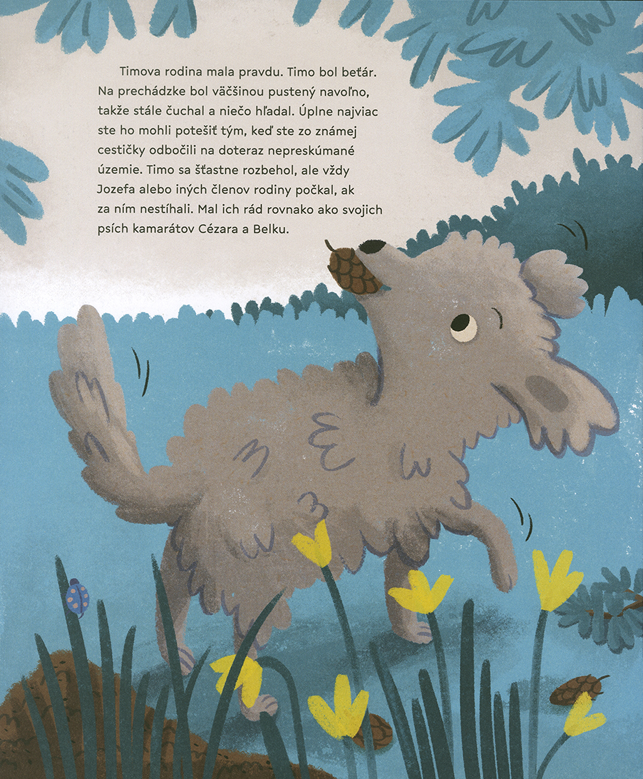 Timo a hviezdna obloha - 3