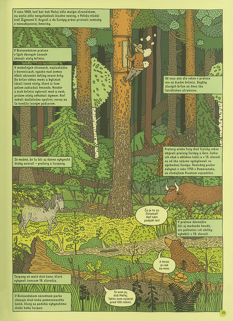 Cesta do divočiny - 3