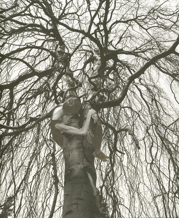 Synchroironizovaný muž - 2