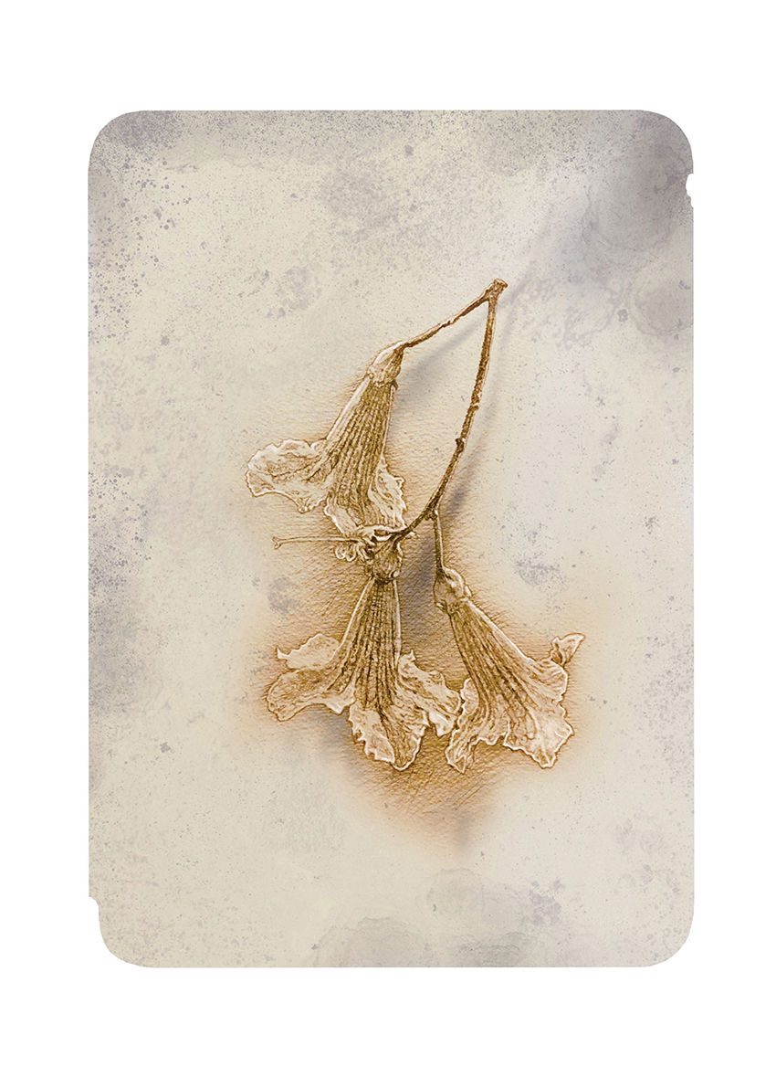 Za jedinou vetou - 4