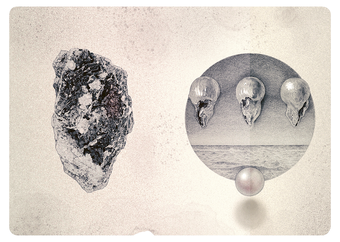 Za jedinou vetou - 5