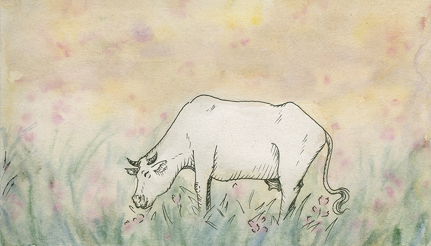 Nie je krava ako krava - 3