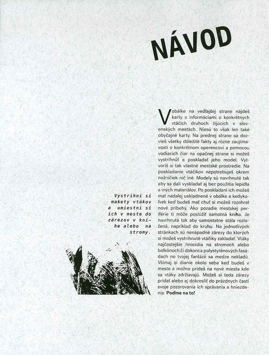 Vtáky v meste - 4