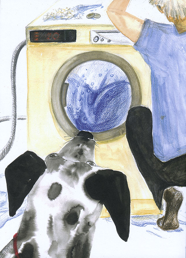 Pozor, bodkovaný pes! - 6