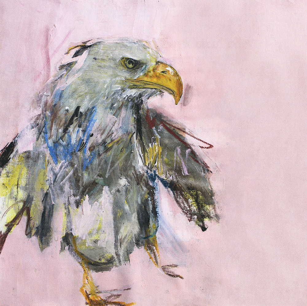 Štikrafa a iné zriedkatká - 6