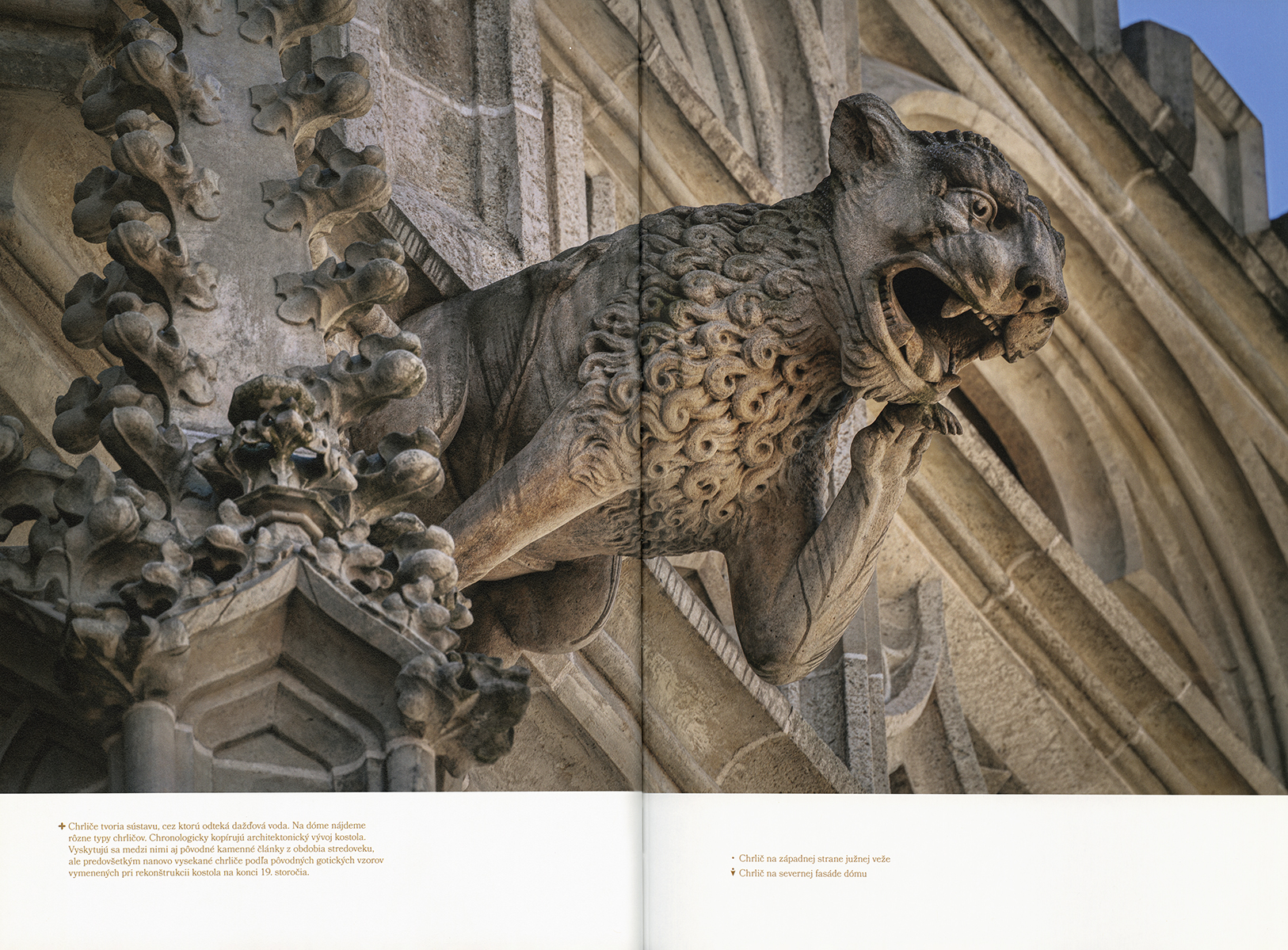 Dóm svätej Alžbety - 4