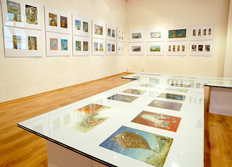 Výstava Petra Uchnára BIB2009 6