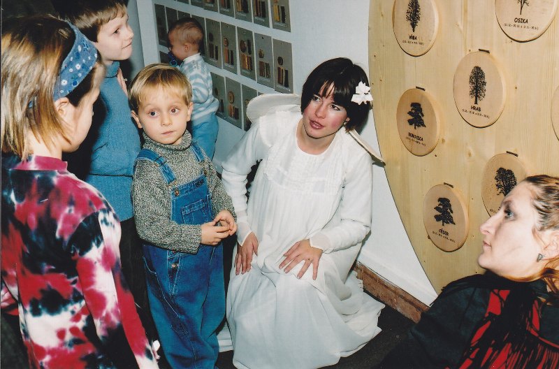 Kubov vianočný sen3