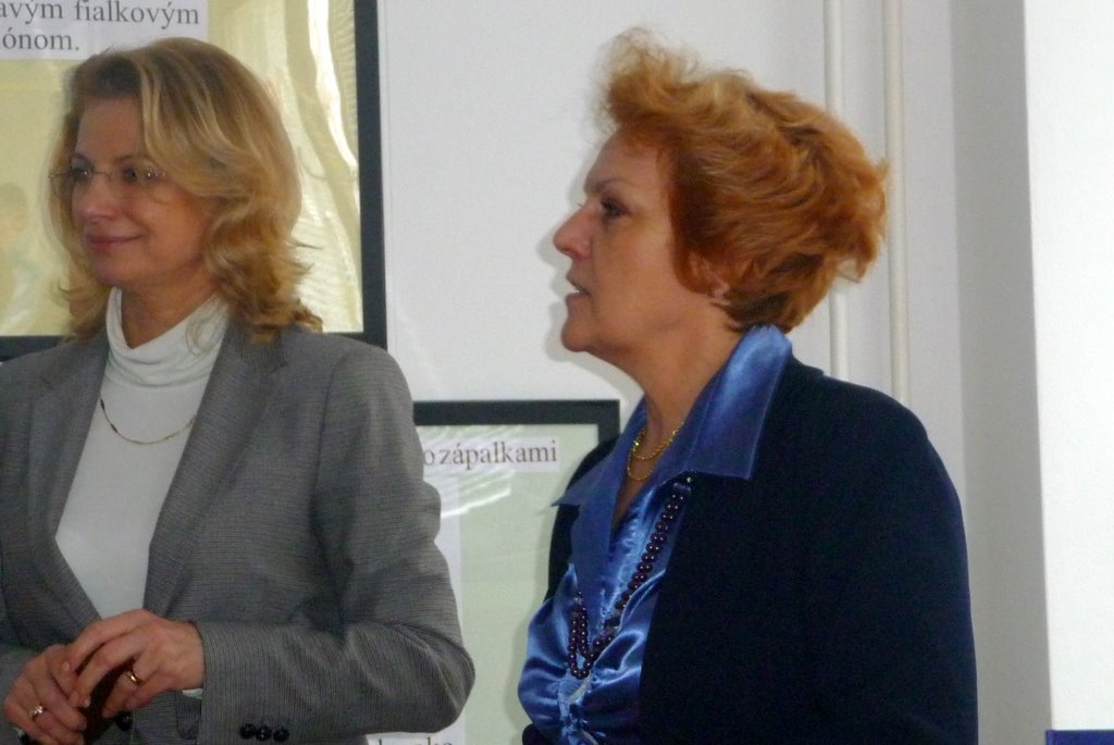 Andersenove knižné šaty 6