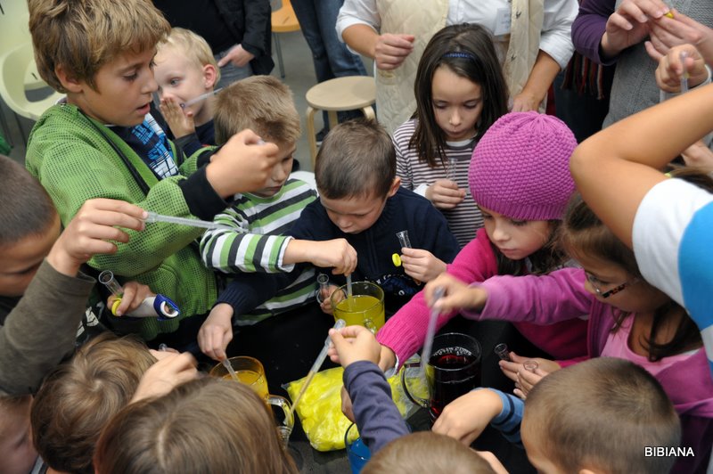 Rozum a stastie 2011_5