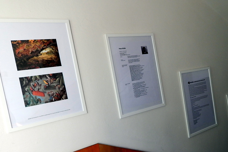 Knihy pre deti ocenené v Čechách a na Slovensku Senica 5