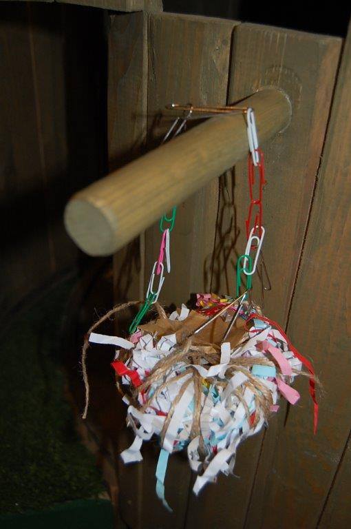 1513723_10152868318804732_9056037922125156136_n