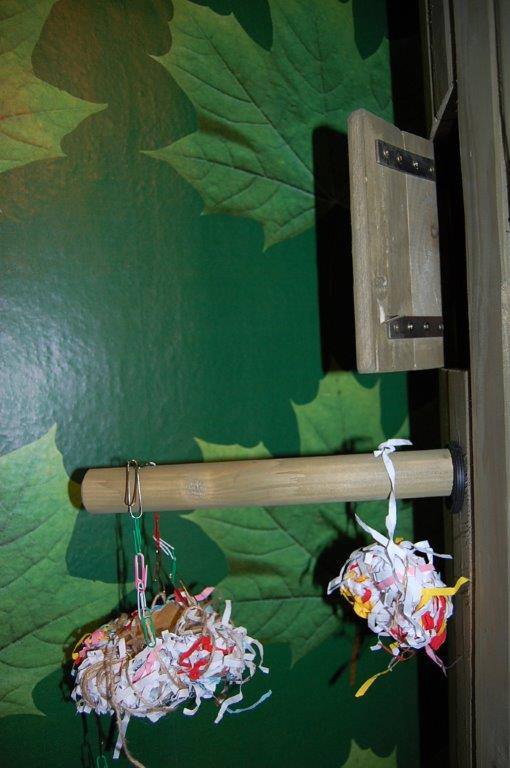 10404333_10152868316484732_6418226283111021880_n