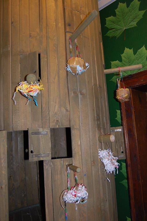 10464393_10152868305984732_3419703337877861734_n