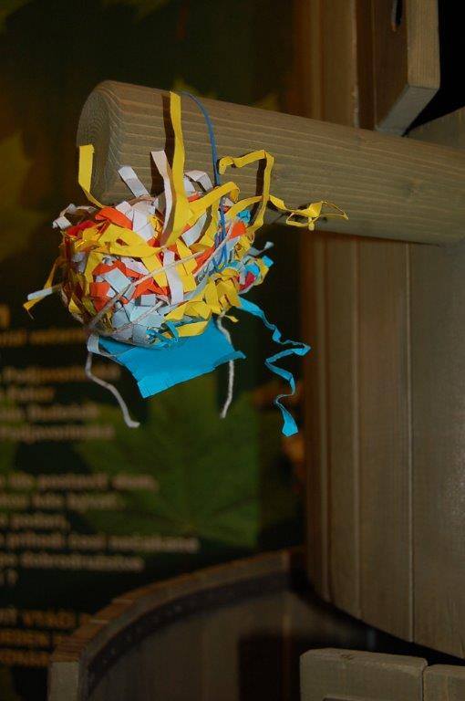 10592646_10152868317204732_4158178566531307832_n