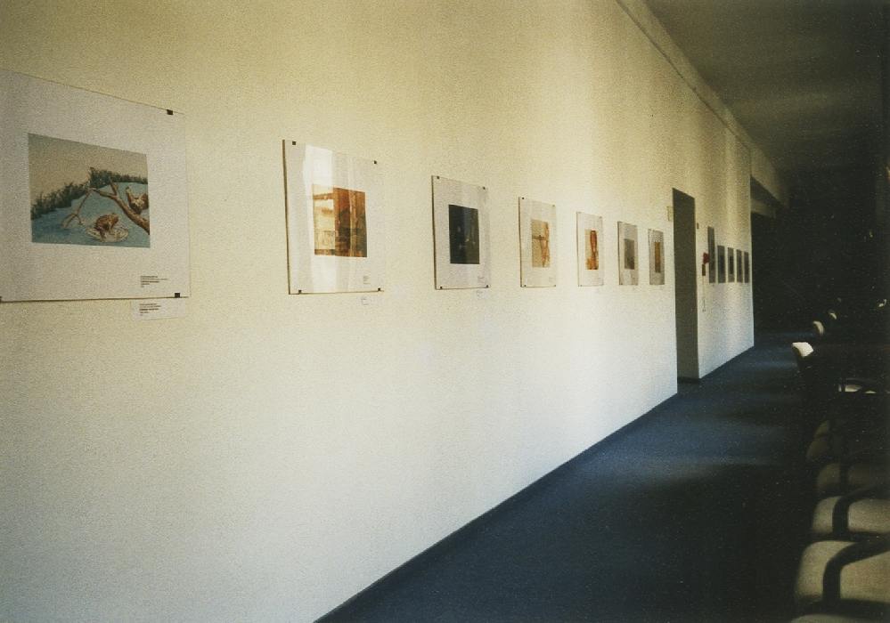 Obrazove metamorfozy Budapest 2001_04