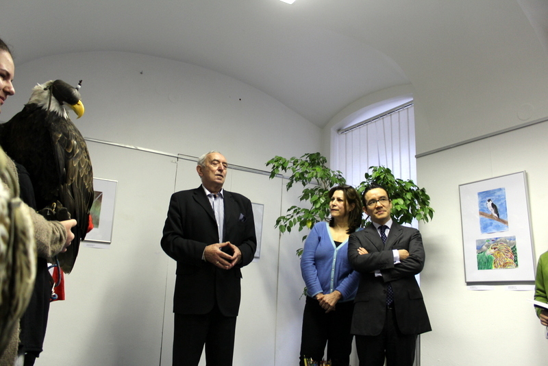 07-17-Vtáky Brazílie a Slovenska-035