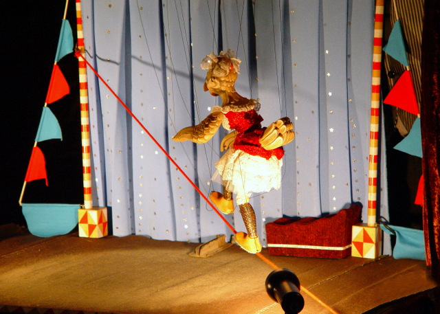 Cirkus Gockelini-003
